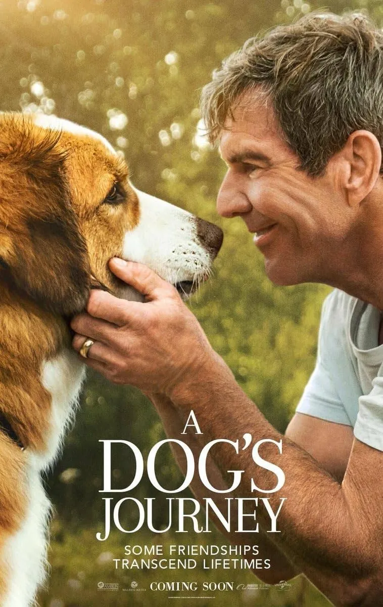 A Dog's Journey Poster