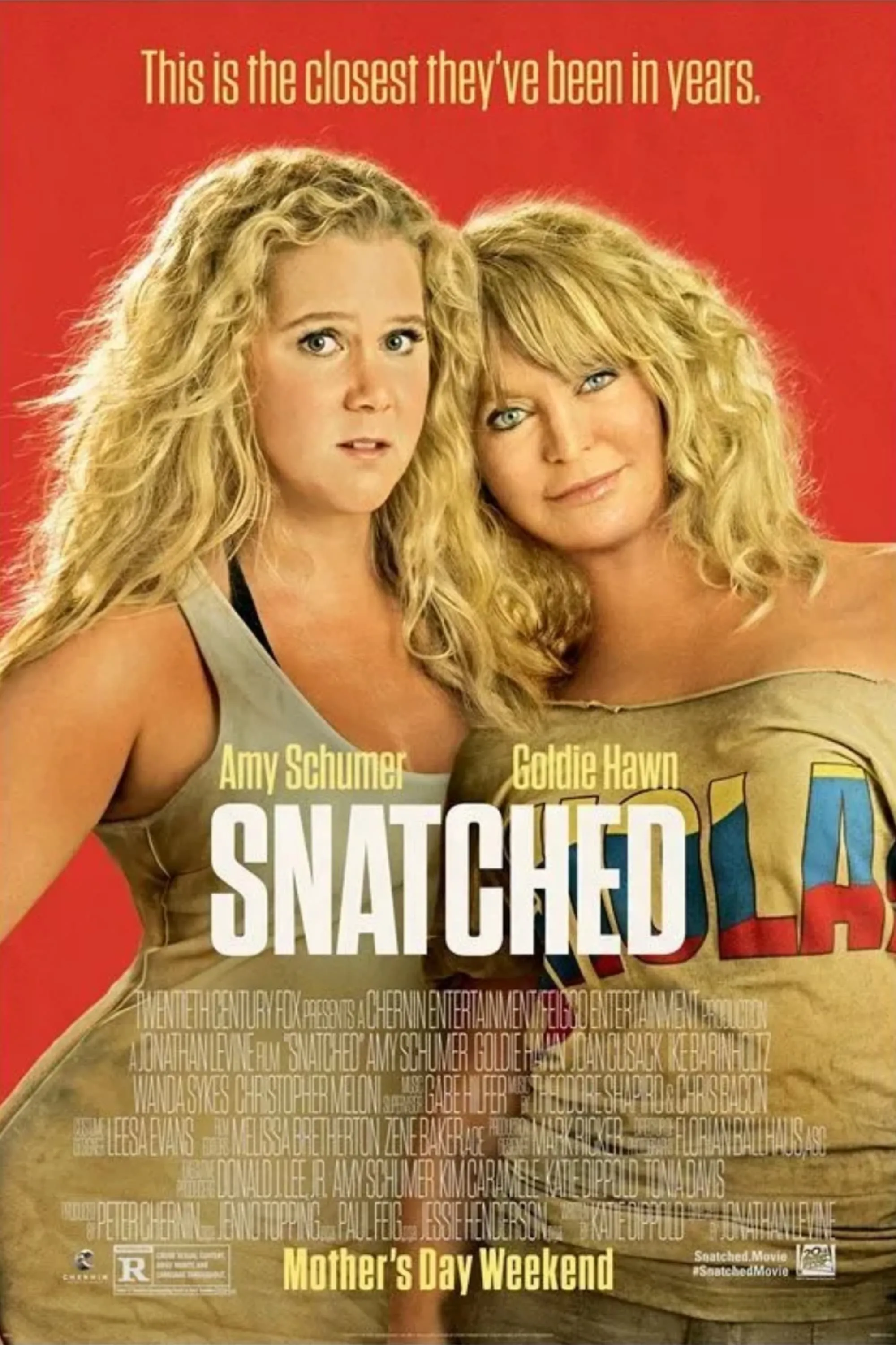 Snatched Poster